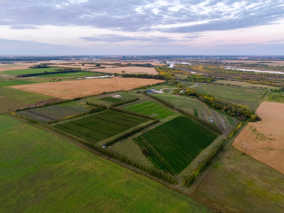 Black Fox Farm & Distillery